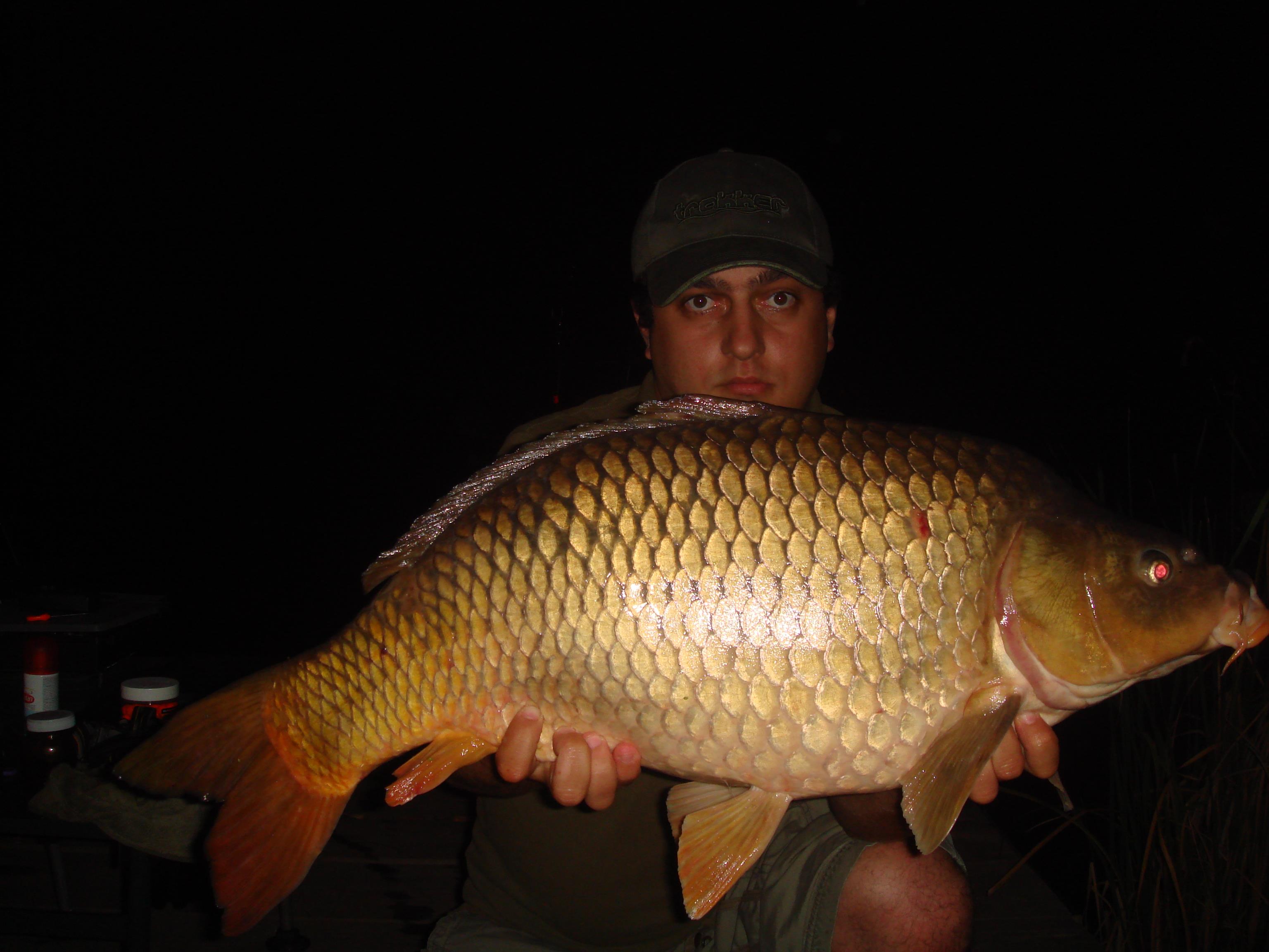 Magura 9 - DSC08711.JPG